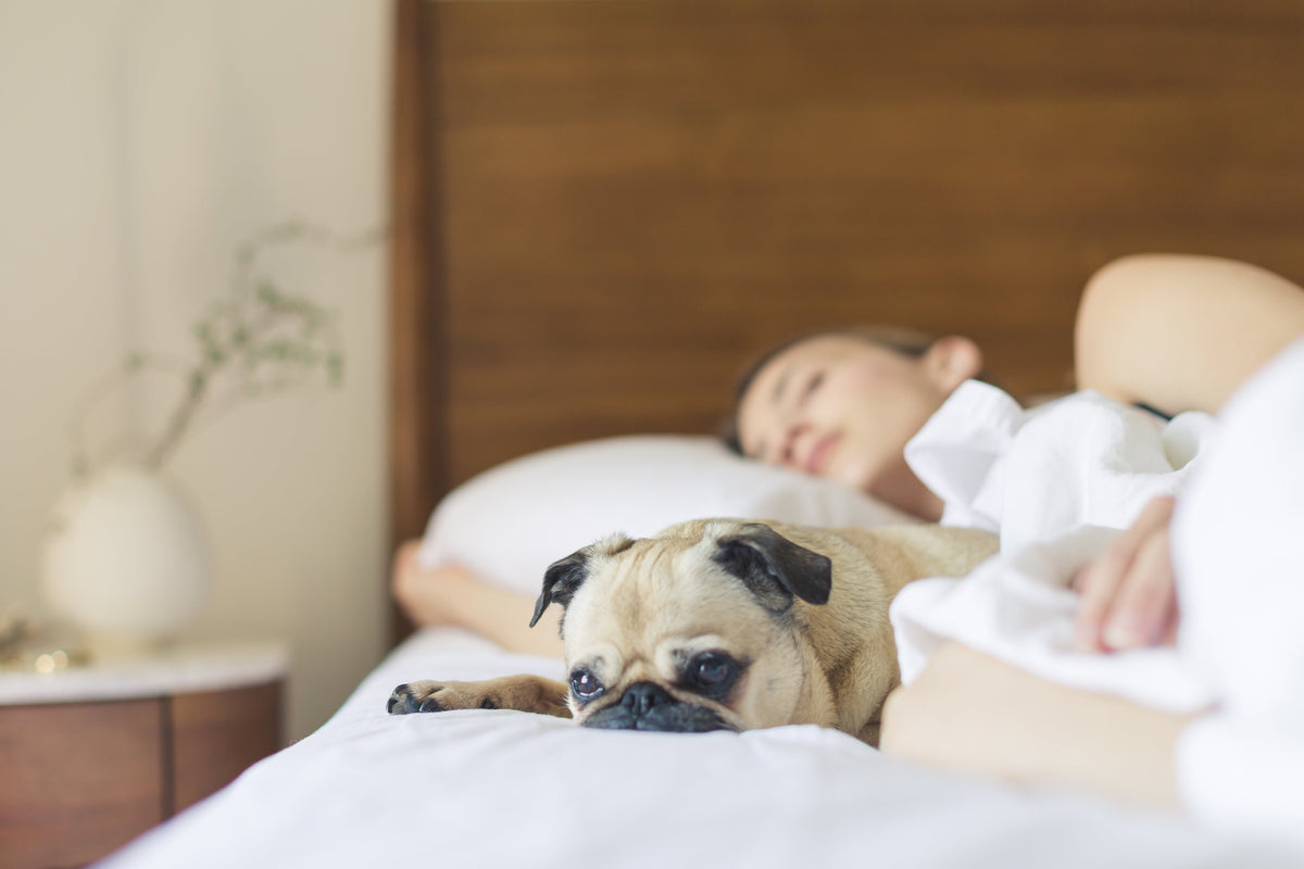 How to Choose the Right Mattress: A Simple Guide by 4Less Mattress (Dallas, TX)